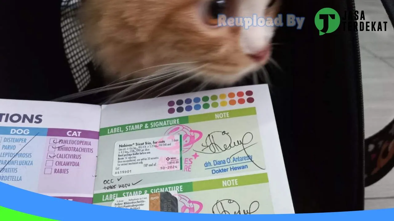 Gambar ANTARES SATWA CARE (Klinik Dokter Hewan, Grooming, Petshop, Pet Hotel Purwokerto) di Banyumas, Jawa Tengah ke 4