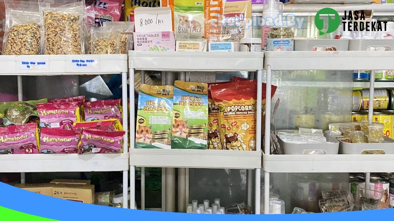 Gambar Oranjee Petshop (Toko Hamster & Perlengkapan Kucing Palembang) di Palembang, Sumatera Selatan ke 2