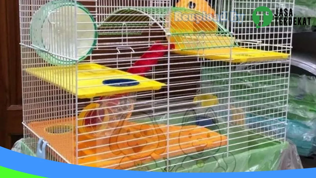 Gambar Hokky petshop di Kudus, Jawa Tengah ke 3