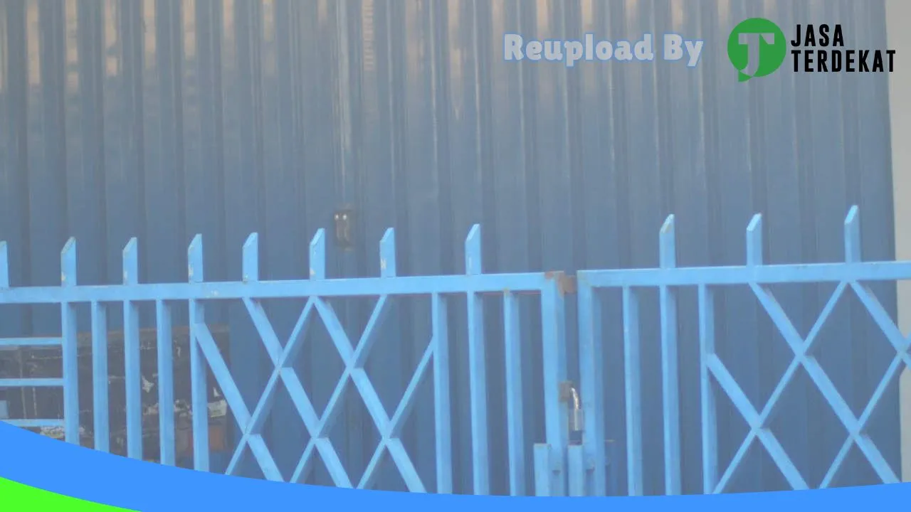 Gambar Muezza cw petshop di Lombok Tengah, Nusa Tenggara Barat ke 4