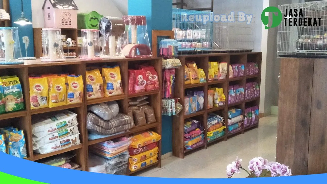 Gambar REBORNPETS di Bandar Lampung, Lampung ke 3