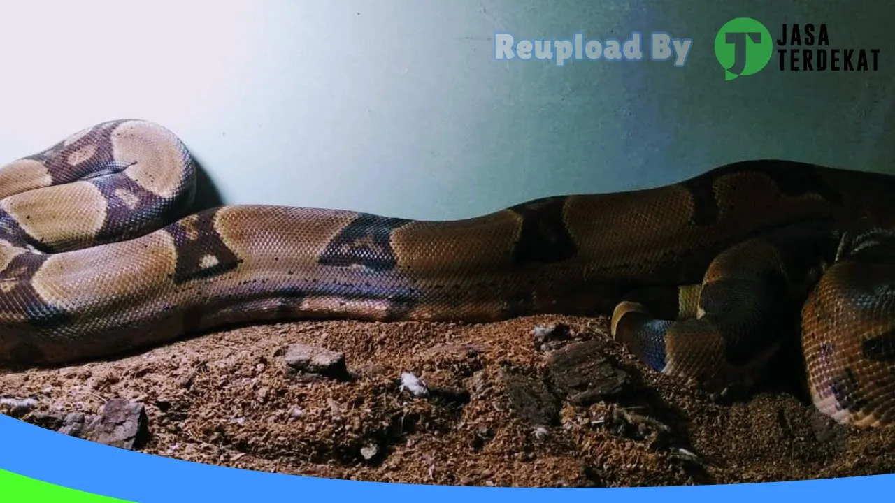 Gambar SAUNG BARAYA GORONTALO di Bone Bolango, Gorontalo ke 5