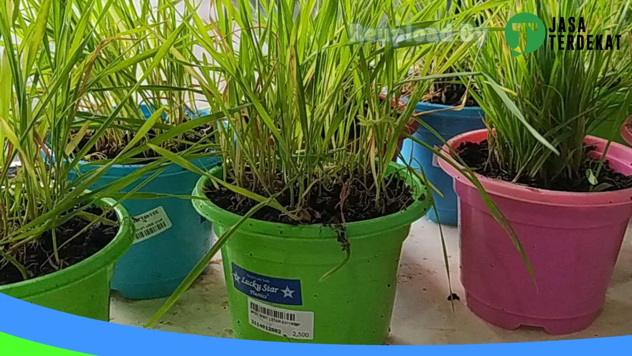 Gambar PET SHOP MUTIARA di Batanghari, Jambi ke 4