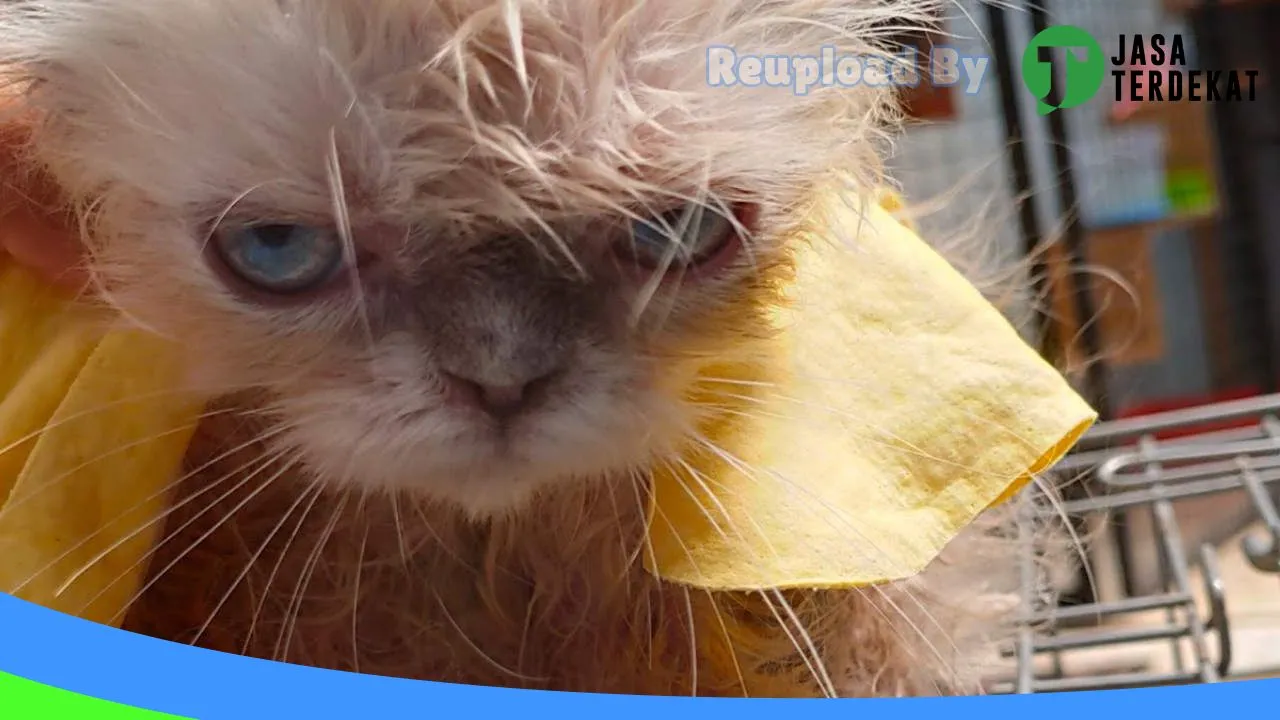 Gambar Domia pet shop di Tulang Bawang Barat, Lampung ke 3