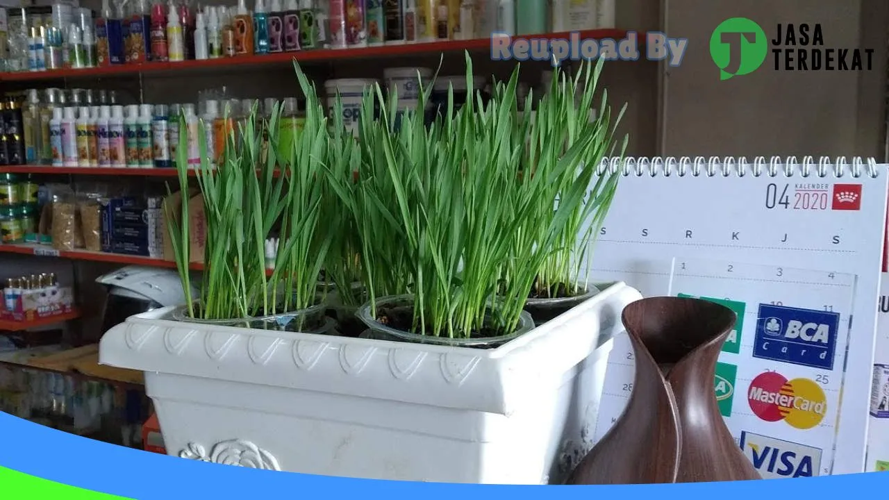 Gambar Mueza Petshop di Aceh Utara, Aceh ke 5