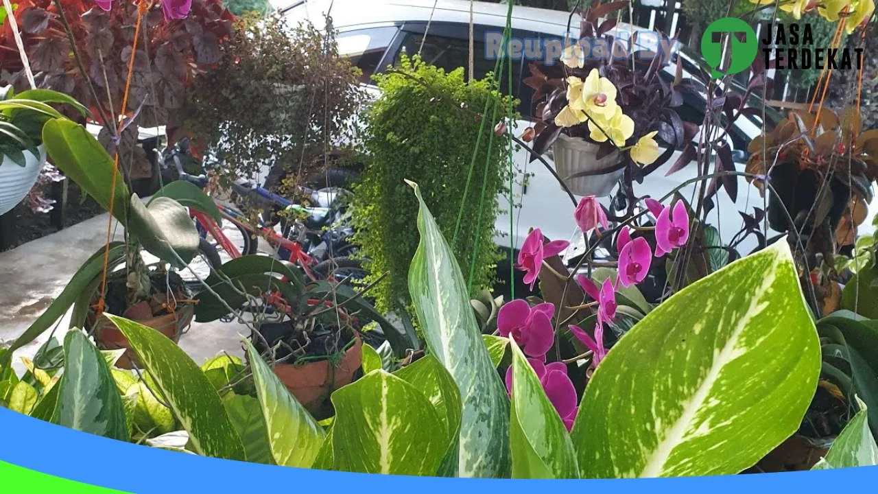 Gambar Toko Aki Hanifah di Tanah Laut, Kalimantan Selatan ke 3