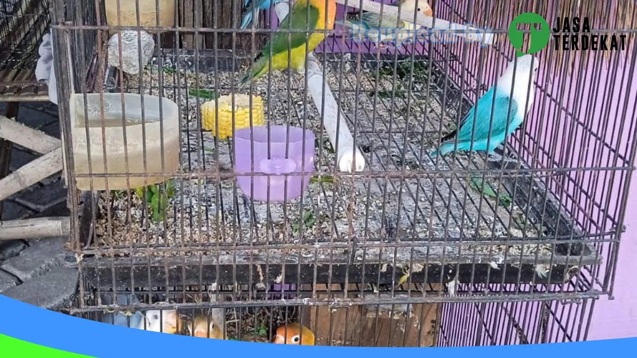 Gambar DAHLIA BIRD FARM di Ngawi, Jawa Timur ke 3