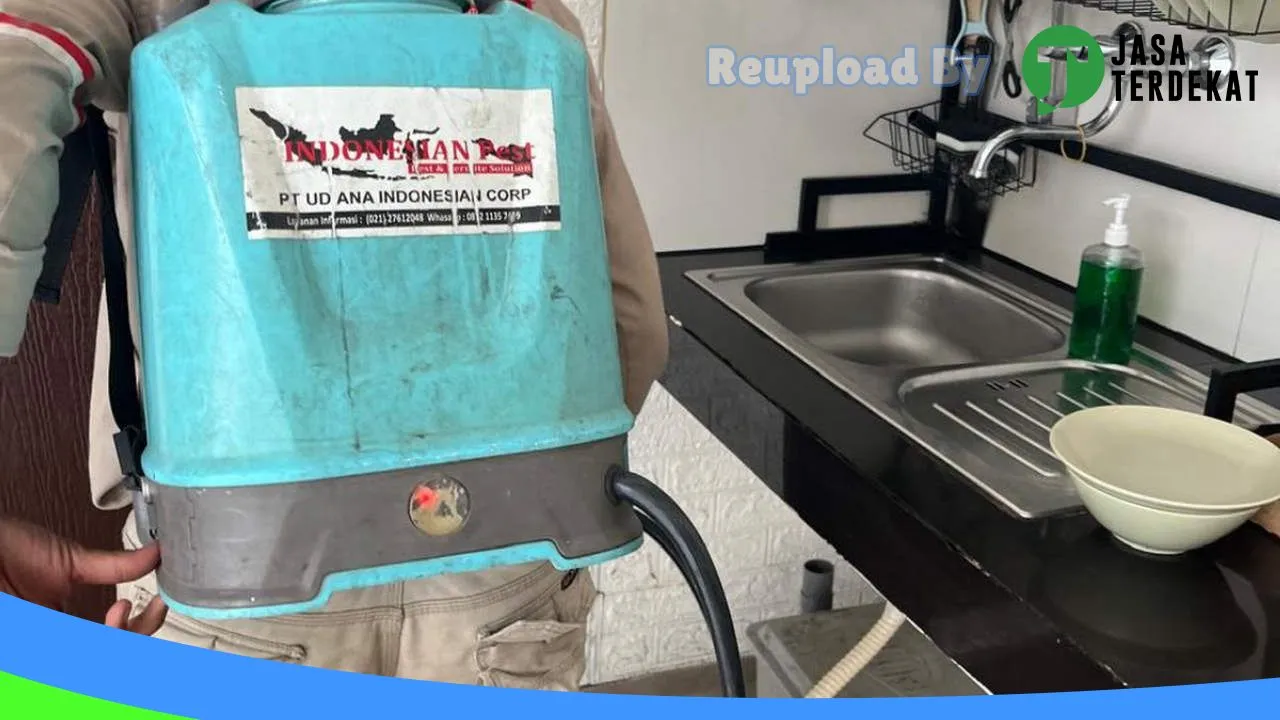 Gambar Anti Rayap, Basmi Hama, Basmi Tikus, Fogging Nyamuk, Pest Control – Nusantara Pest Bekasi di Tulungagung, Jawa Timur ke 3