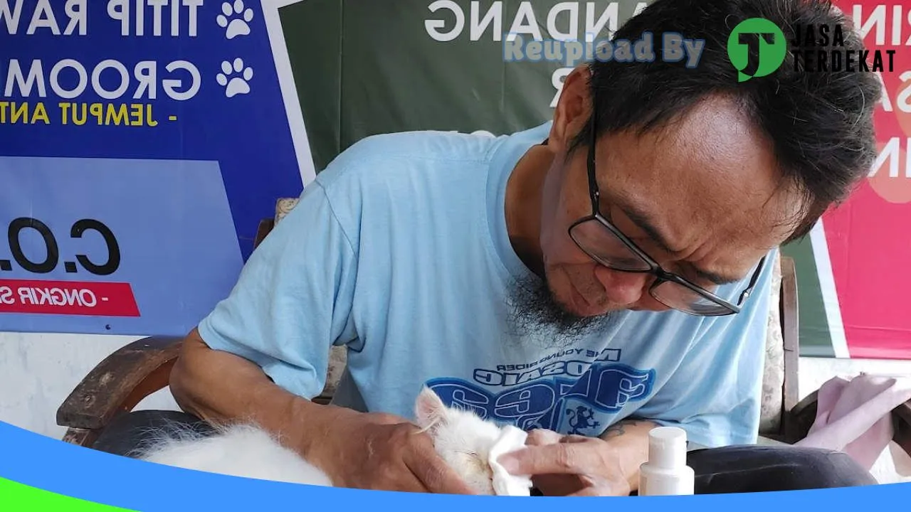 Gambar Bless Catshop di Cianjur, Jawa Barat ke 3