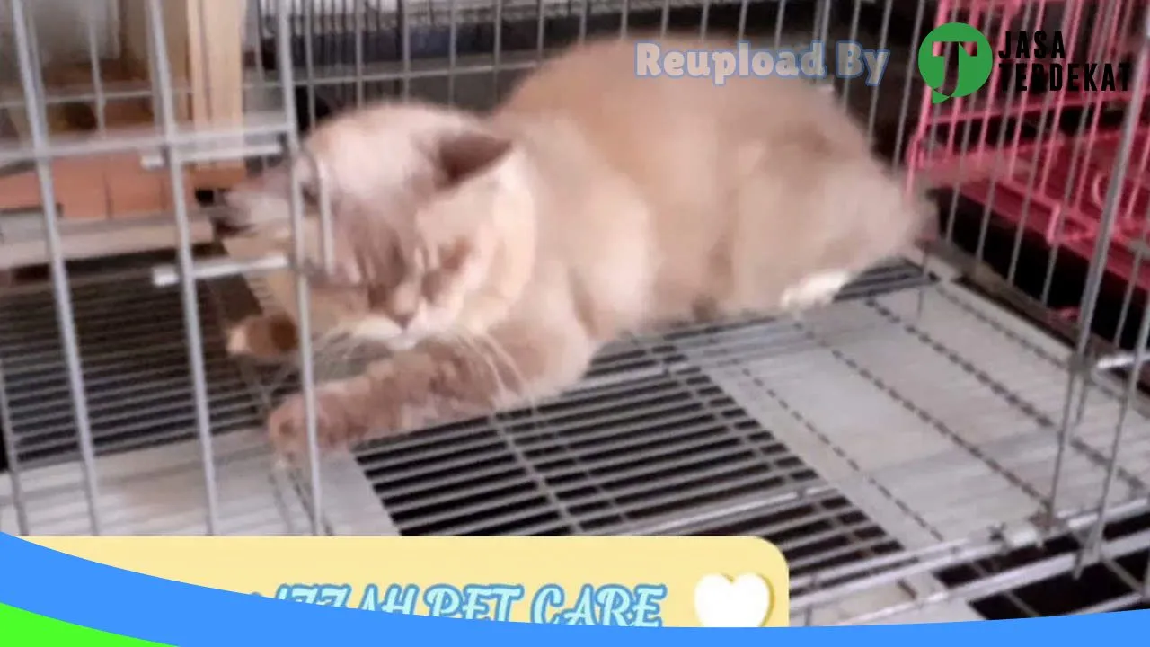 Gambar IZZAH PET CARE di Mandailing Natal, Sumatera Utara ke 1