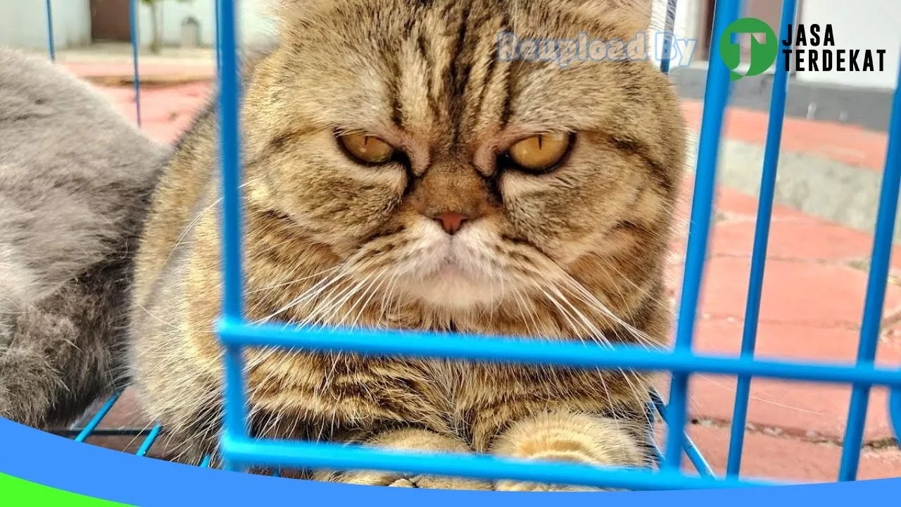 Gambar Roiju Petshop Sragen di Sragen, Jawa Tengah ke 4