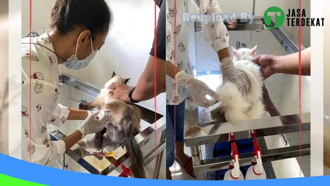 Gambar Praktik Dokter Hewan Labuan Bajo dan Petshop di Manggarai, Nusa Tenggara Timur ke 2