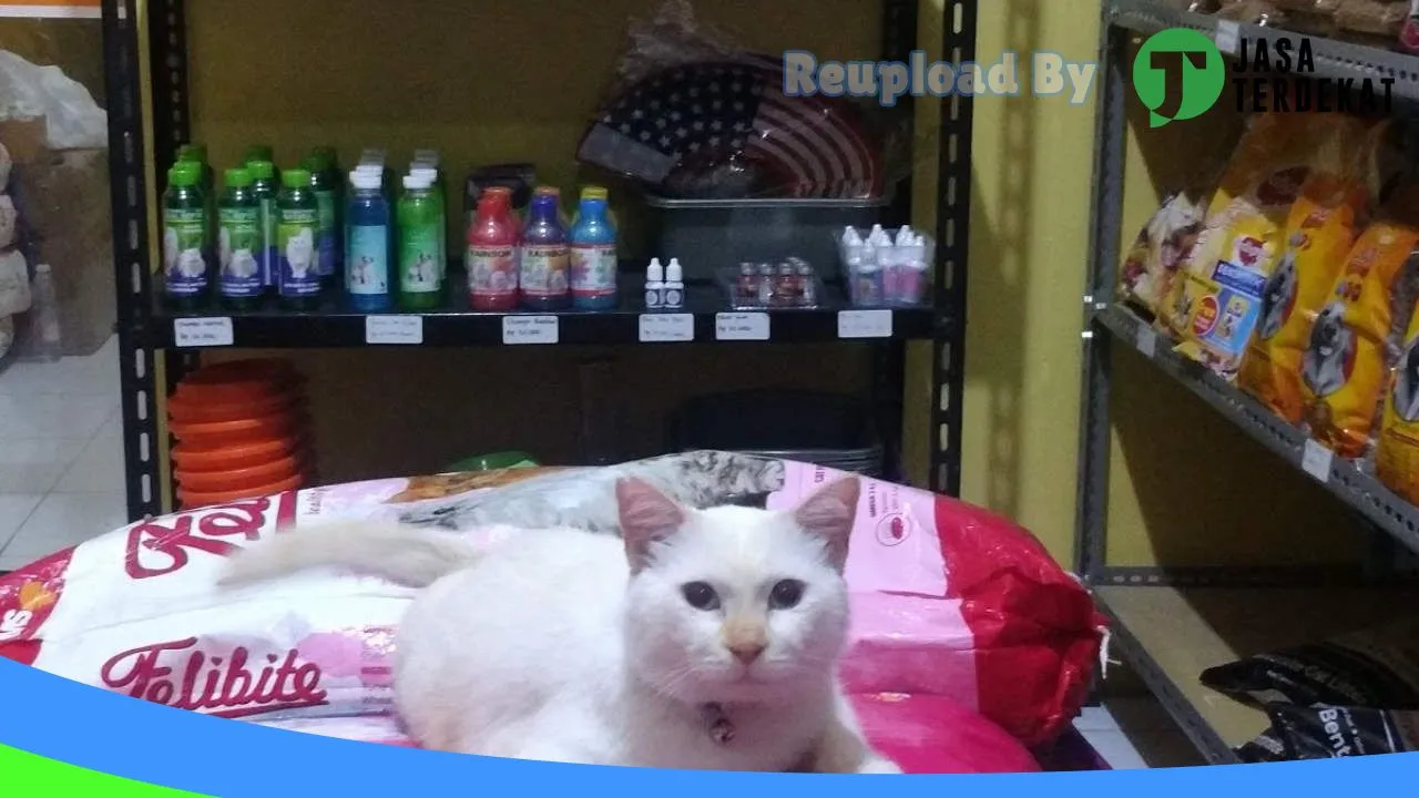 Gambar Bulu bulu petshop di Jakarta Pusat, DKI Jakarta ke 1