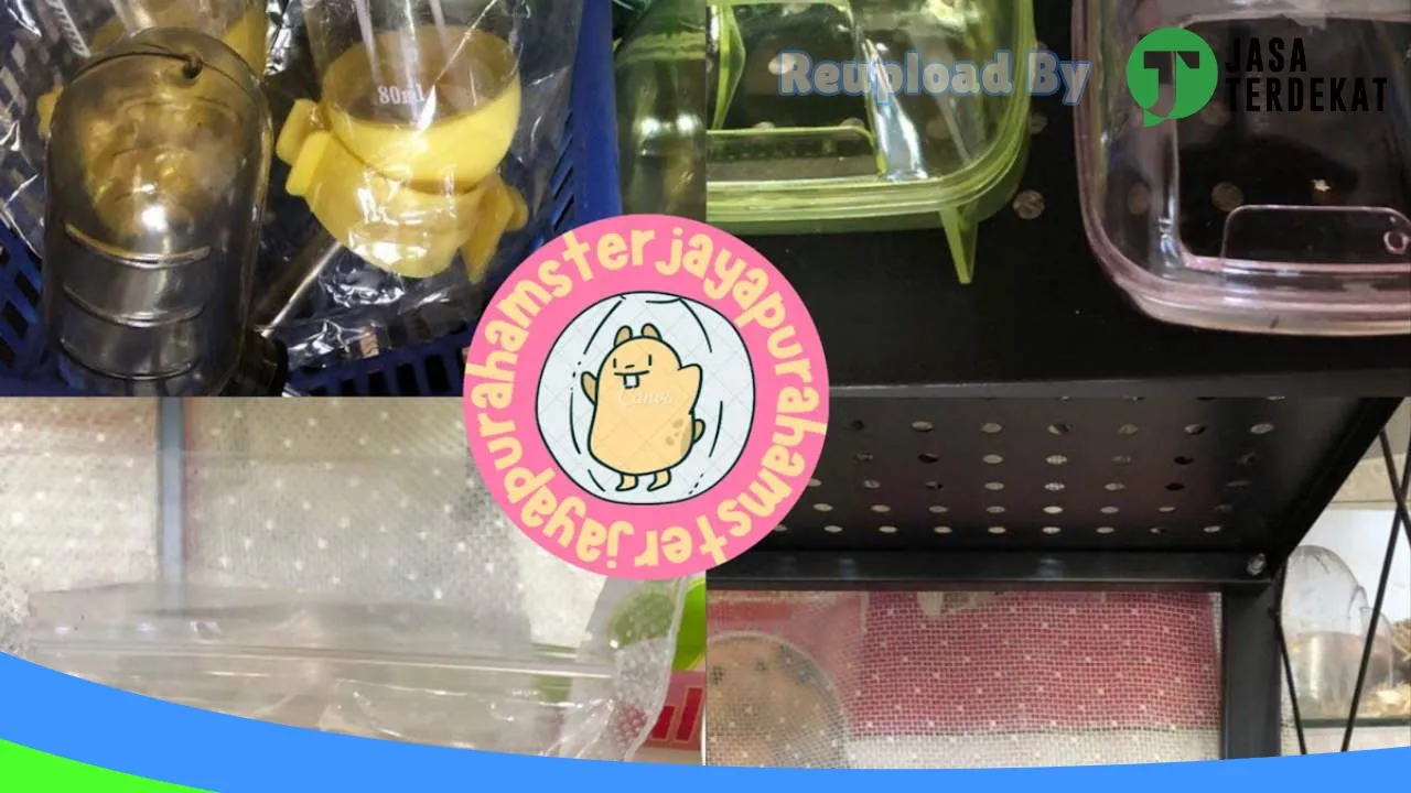 Gambar hamster jayapura di Jayapura, Papua ke 3