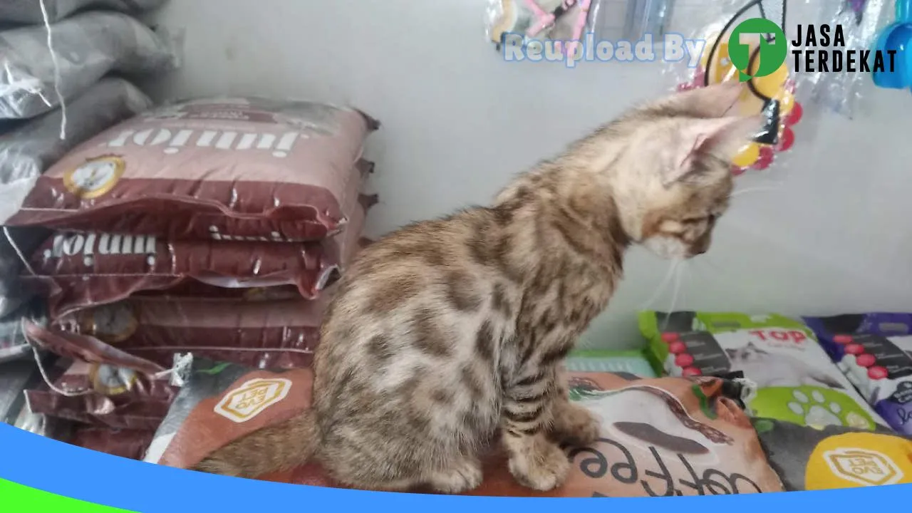 Gambar Chiro PetShop Prabumulih di Prabumulih, Sumatera Selatan ke 2