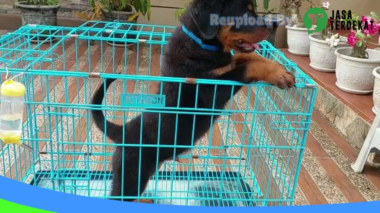 Gambar KLINIK HEWAN Dr KOEN di Ambon, Maluku ke 1