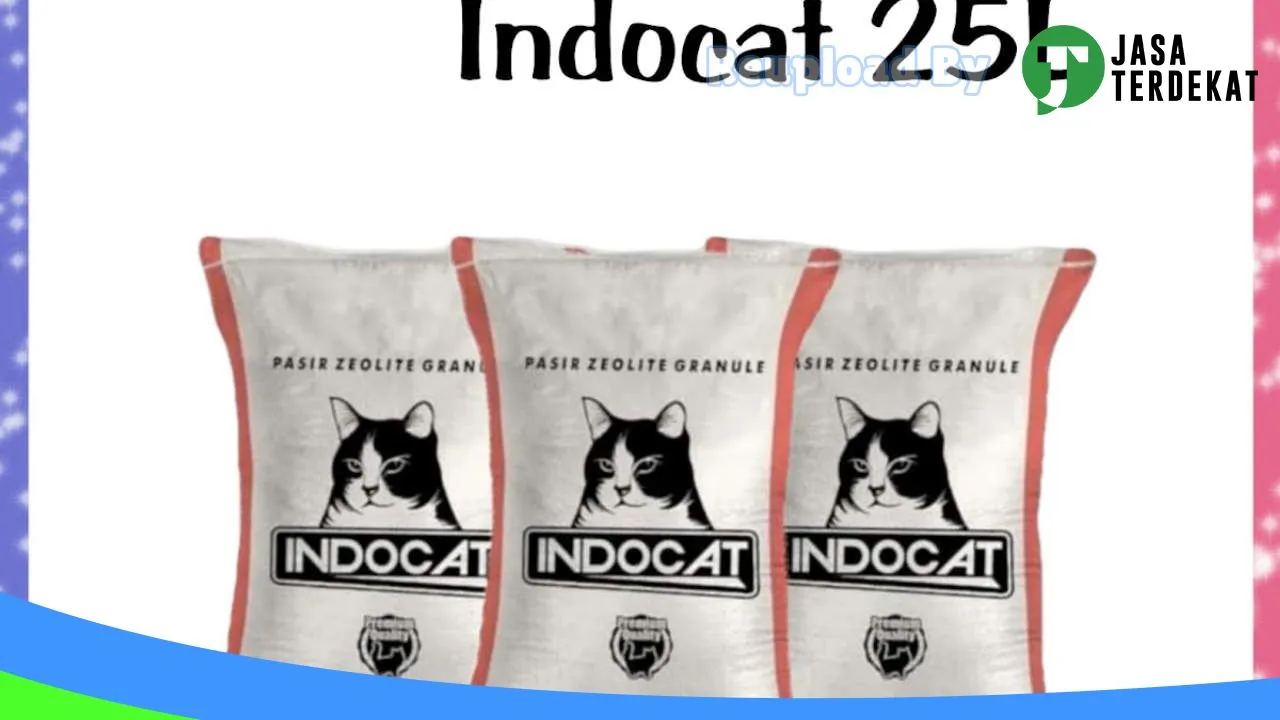 Gambar Ocha Petshop di Denpasar, Bali ke 2