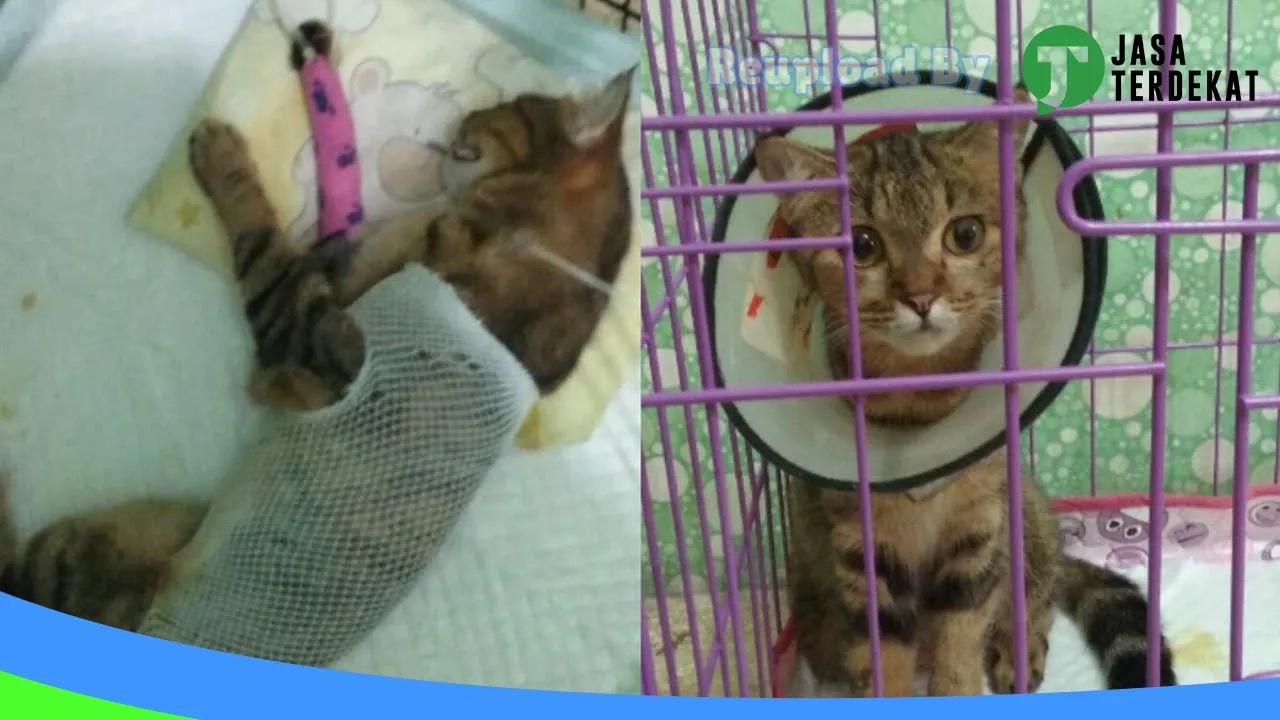 Gambar ABC Pet Shop & Pet Clinic di Klaten, Jawa Tengah ke 4