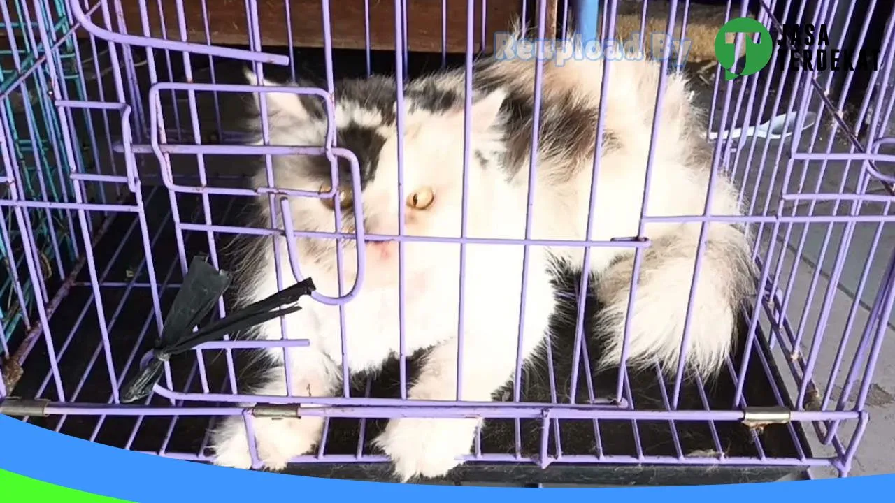 Gambar Hurera Petcare&Shop di Kota Madiun, Jawa Timur ke 1