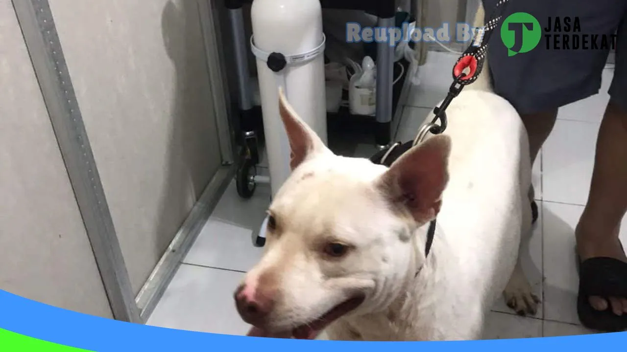 Gambar Savanna Vet Care & Petshop di Timor Tengah Selatan, Nusa Tenggara Timur ke 1