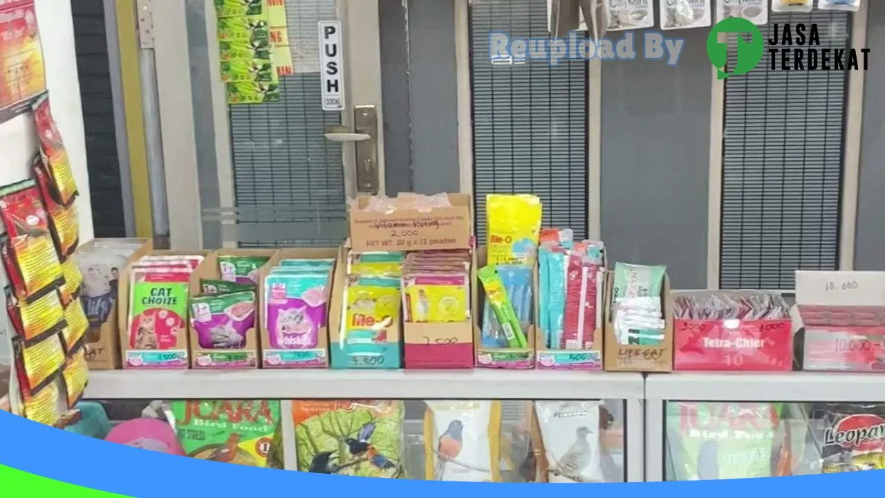 Gambar Owy pet shop di Hulu Sungai Selatan, Kalimantan Selatan ke 1