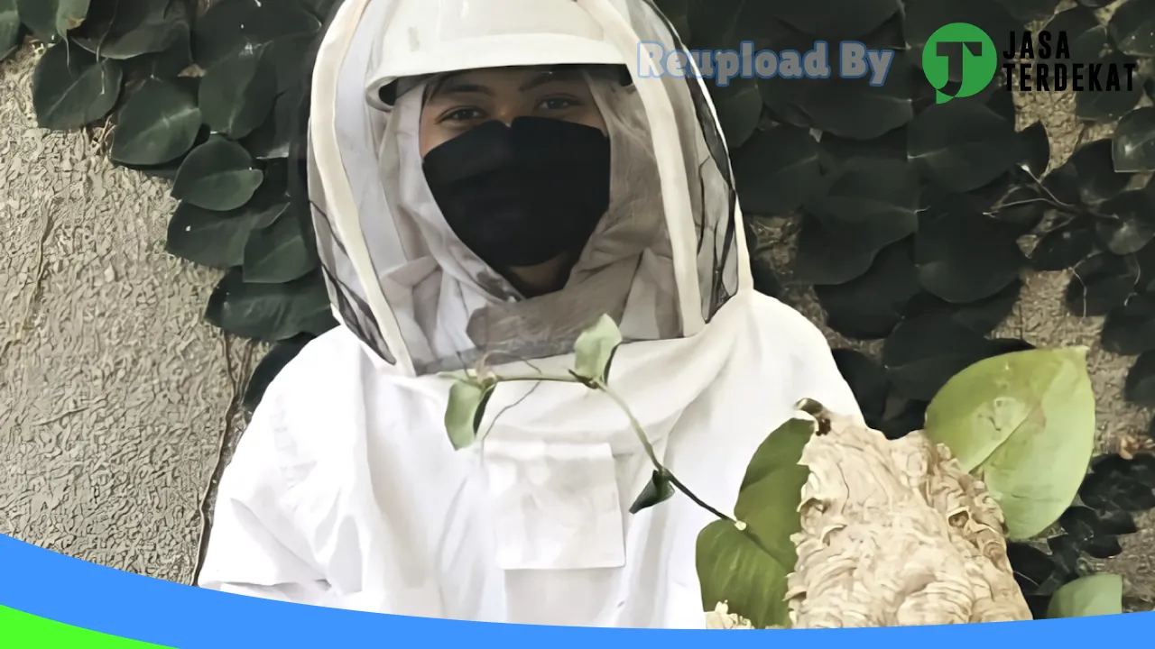 Gambar Petrokil : Jasa Anti Rayap & Pest Control di Tegal, Jawa Tengah ke 5