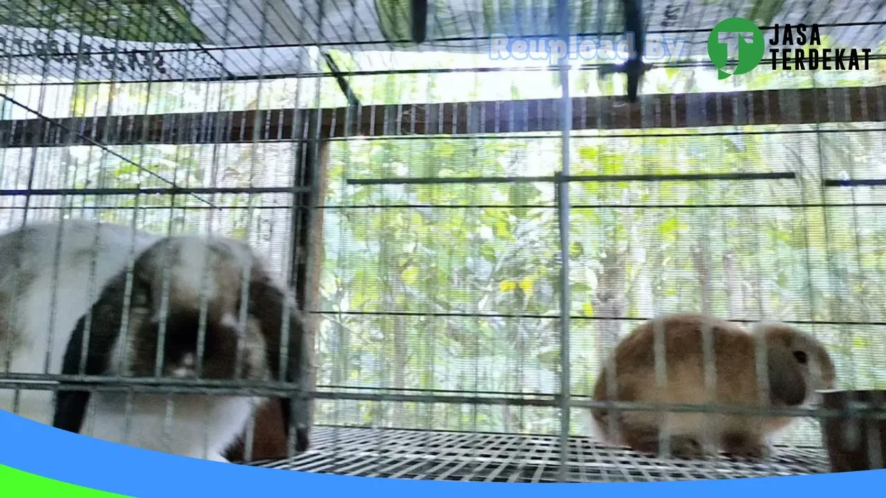 Gambar KIQ Pet Gallery di Gianyar, Bali ke 1