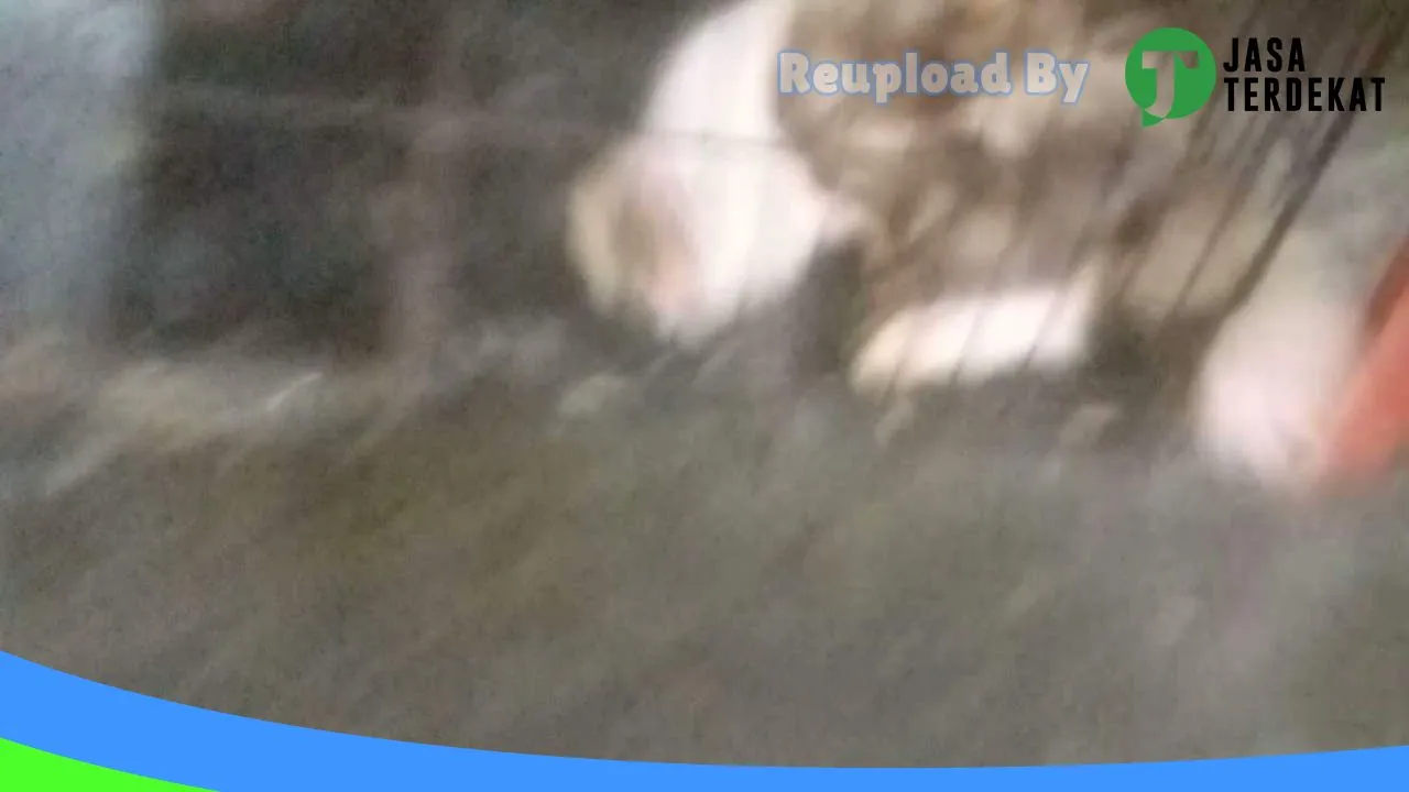 Gambar Ns petshop & pet grooming menes di Pandeglang, Banten ke 1