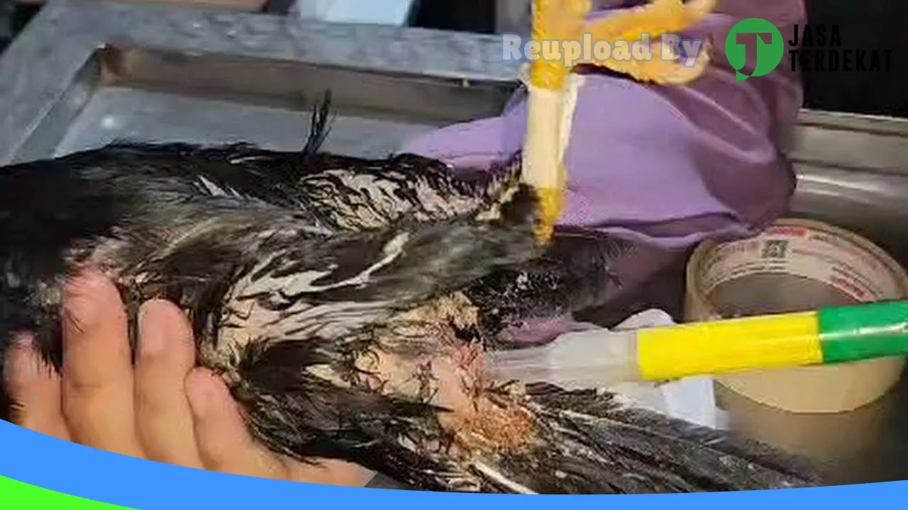 Gambar RiyanQa Petshop & Care di Aceh Tenggara, Aceh ke 3