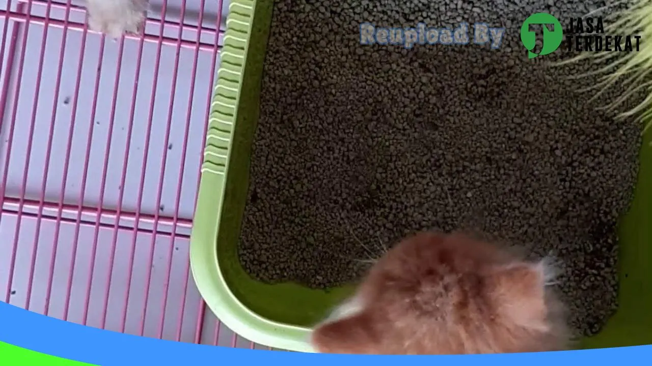 Gambar PANDA Pet Shop di Pamekasan, Jawa Timur ke 1