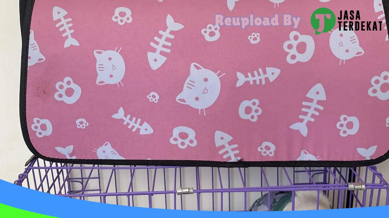 Gambar Mojo Pet Care & Pet Shop – Dokter Hewan Waingapu di Sumba Timur, Nusa Tenggara Timur ke 2