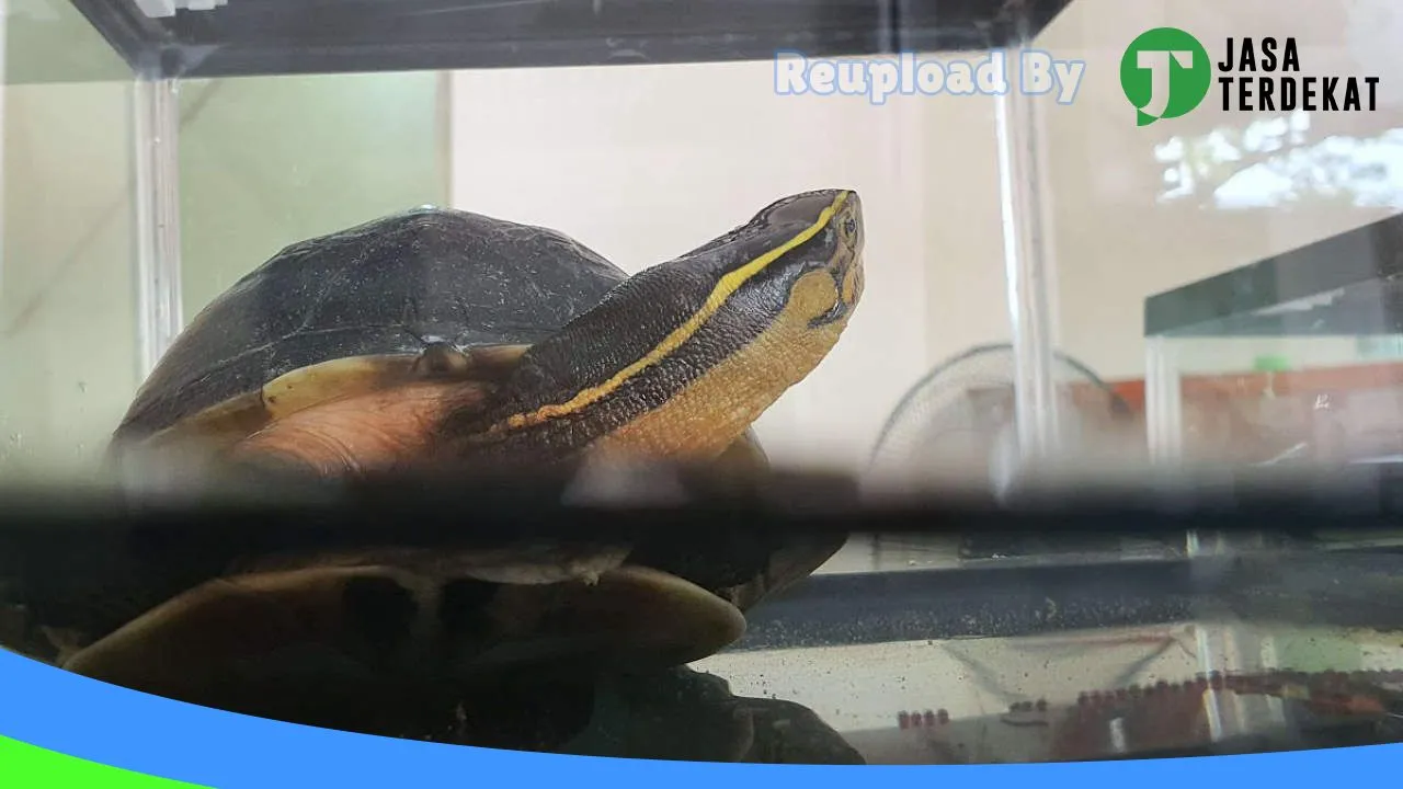 Gambar Naureen Petcare by Healthy Pet di Kota Madiun, Jawa Timur ke 4