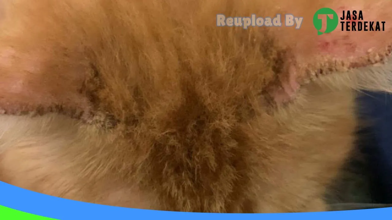 Gambar Dokter Hewan Prabumulih (drh Yudi G) di Prabumulih, Sumatera Selatan ke 2