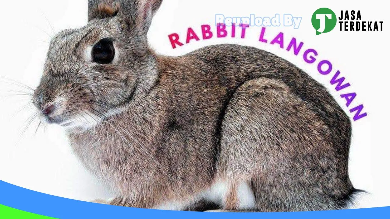 Gambar PetShop Langowan Timur di Minahasa Utara, Sulawesi Utara ke 4