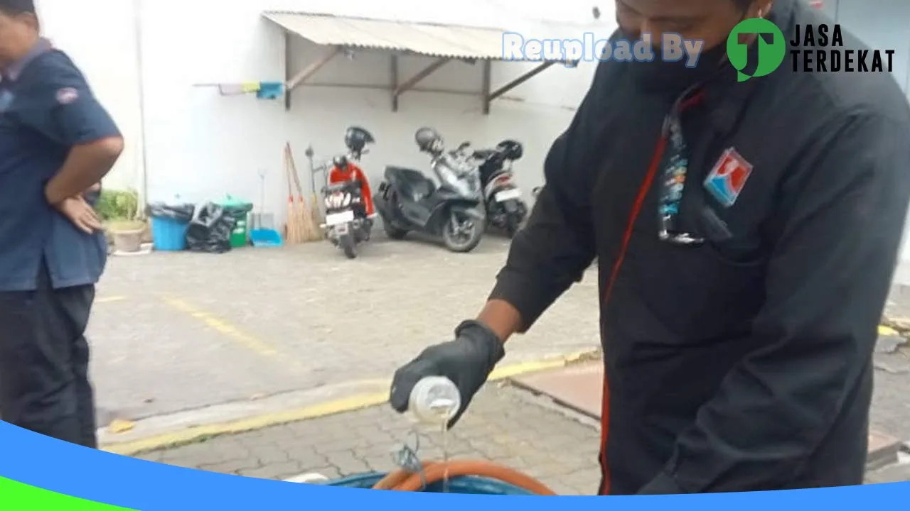 Gambar Anti Rayap di Klaten, Jawa Tengah ke 3