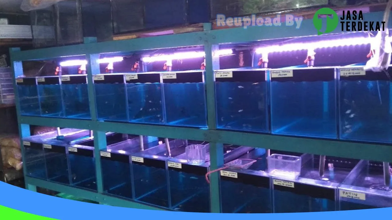 Gambar Aquazy Aquarium di Dairi, Sumatera Utara ke 2