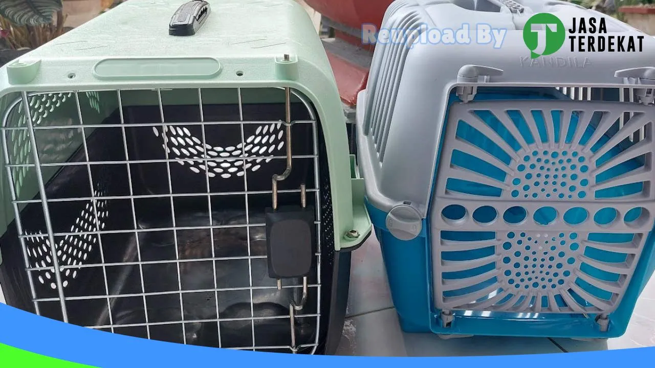 Gambar Cokky Pet Shop di Luwu Timur, Sulawesi Selatan ke 3