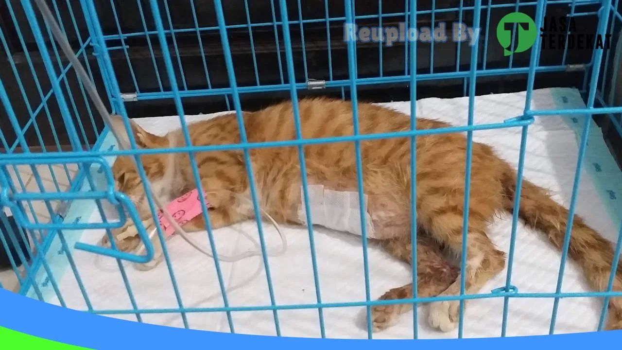 Gambar Praktek Dokter Hewan (Pringsewu Vet Clinic) di Pringsewu, Lampung ke 2