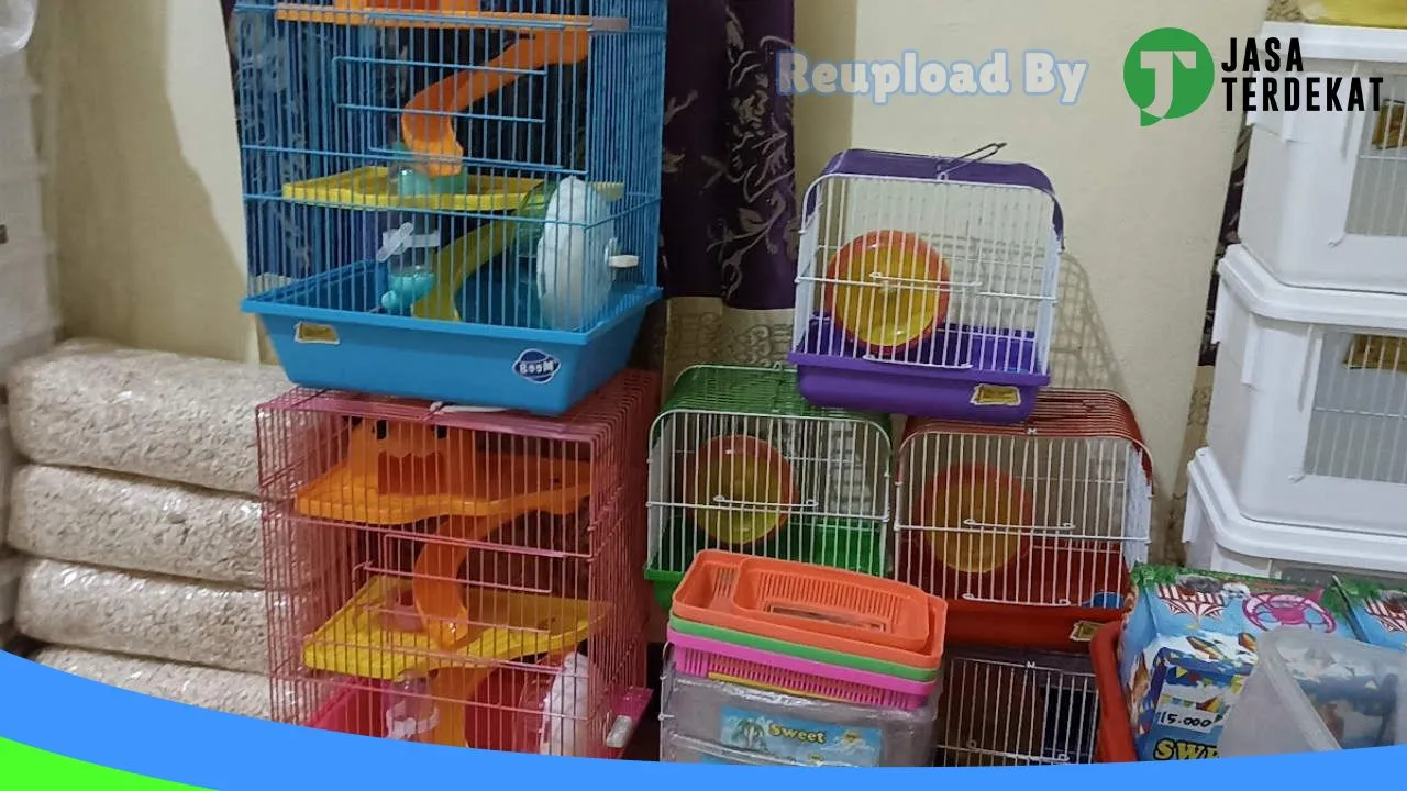 Gambar ADZKA HAMSTER JOMBANG di Jombang, Jawa Timur ke 3