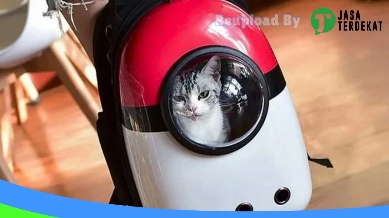 Gambar Miaow Pet Shop Medan di Medan, Sumatera Utara ke 2