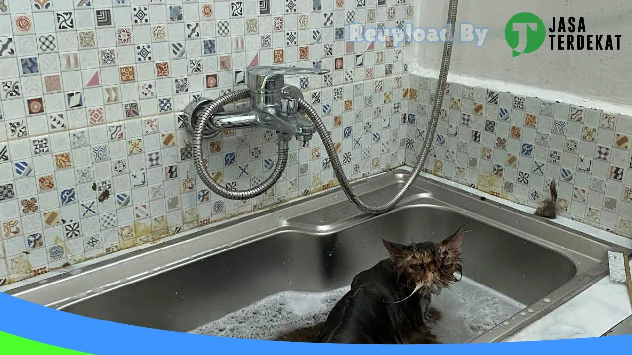 Gambar Mangadut Petshop di Lombok Barat, Nusa Tenggara Barat ke 3