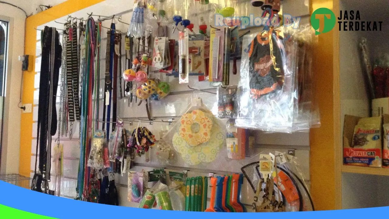 Gambar Daily Pets Karanganyar di Karanganyar, Jawa Tengah ke 1