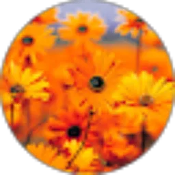 Review From Mirna Sahriani