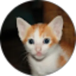 Review From Gabriella Angel