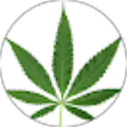 Review From Dodhi Satria