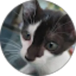 Review From Heka Septa Adi Putra