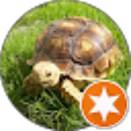 Review From hoby jelajah