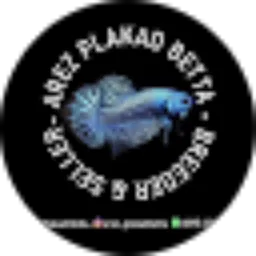 Review From arez plakad betta