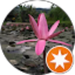 Review From Jiraya Sensei