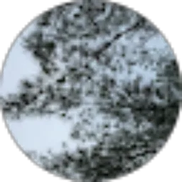 Review From Kanaya Tabhita